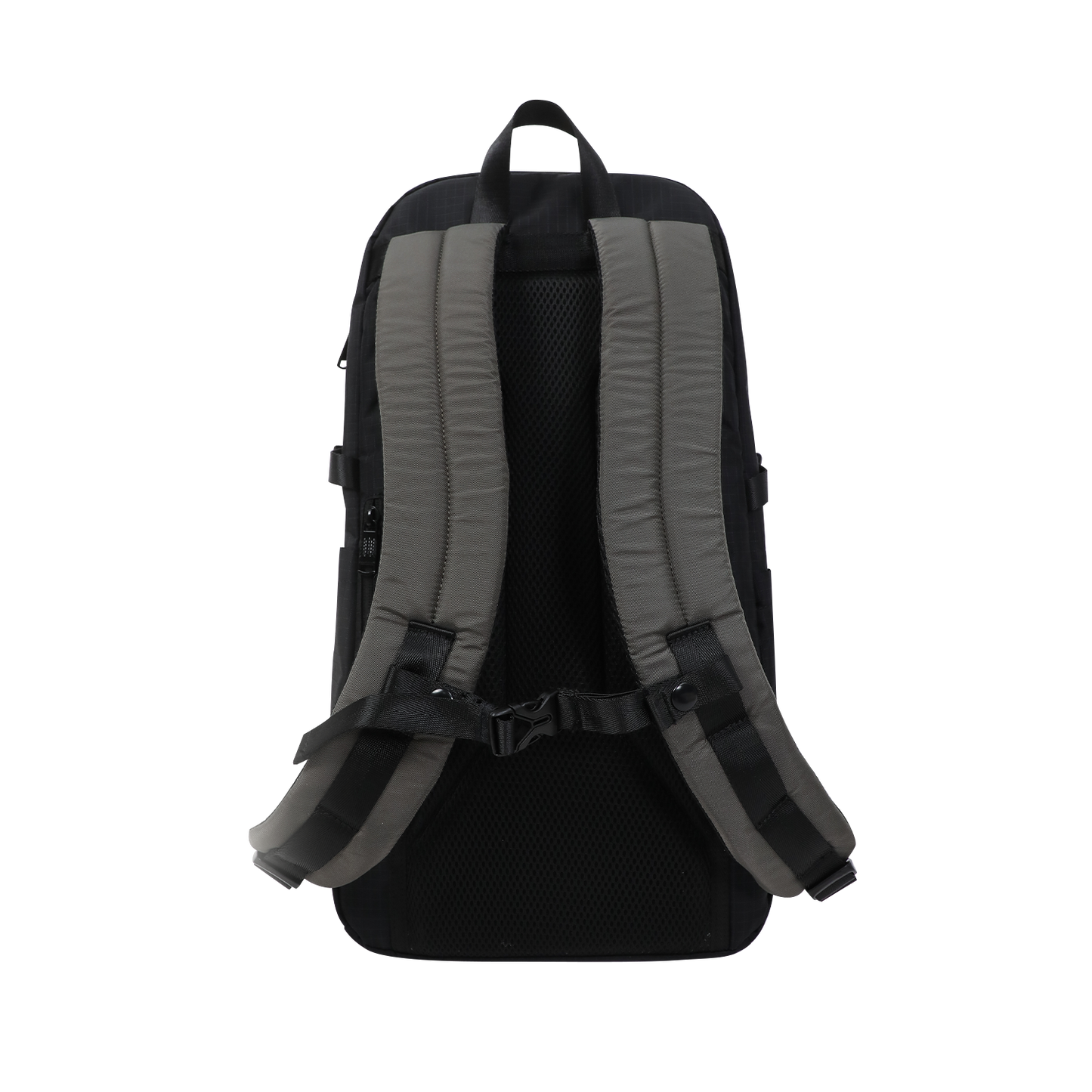 Hypatia Street Cruise III Series Backpack